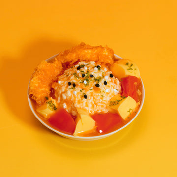 Pork Katsu Curry Taba Squishy Squeeze Toy